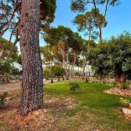 Holiday home Matriz- Peaceful Haven In Javea